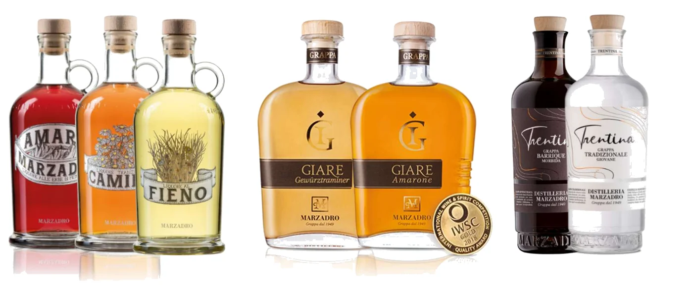 Liquori e grappe Marzadro: Amaro, Camilla, Fieno, Giare Gewürztraminer e Amarone, Trentina Barrique e Tradizionale