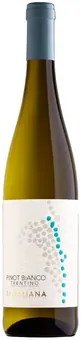 Rotaliana Pinot Bianco