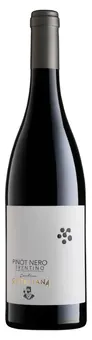 Rotaliana Pinot Nero
