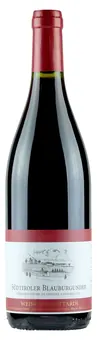 Gottardi Pinot Nero Mazzon