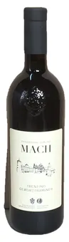Fondazione Edmund Mach Gewürztraminer