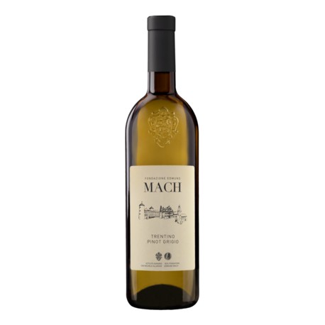 ISTITUTO AGR. PINOT GRIGIO DOC 0,750
