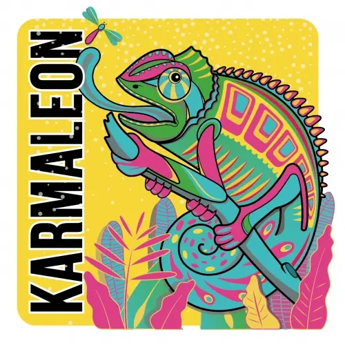 [BR7653] BIRRA DEL BOSCO KARMALEON FUSTO 24 LT.