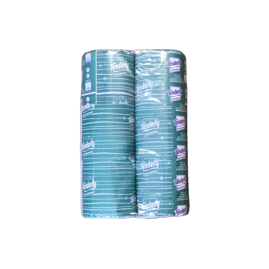CARTA IGIENICA FASCETTATA 2V PZ6 ECOLAB