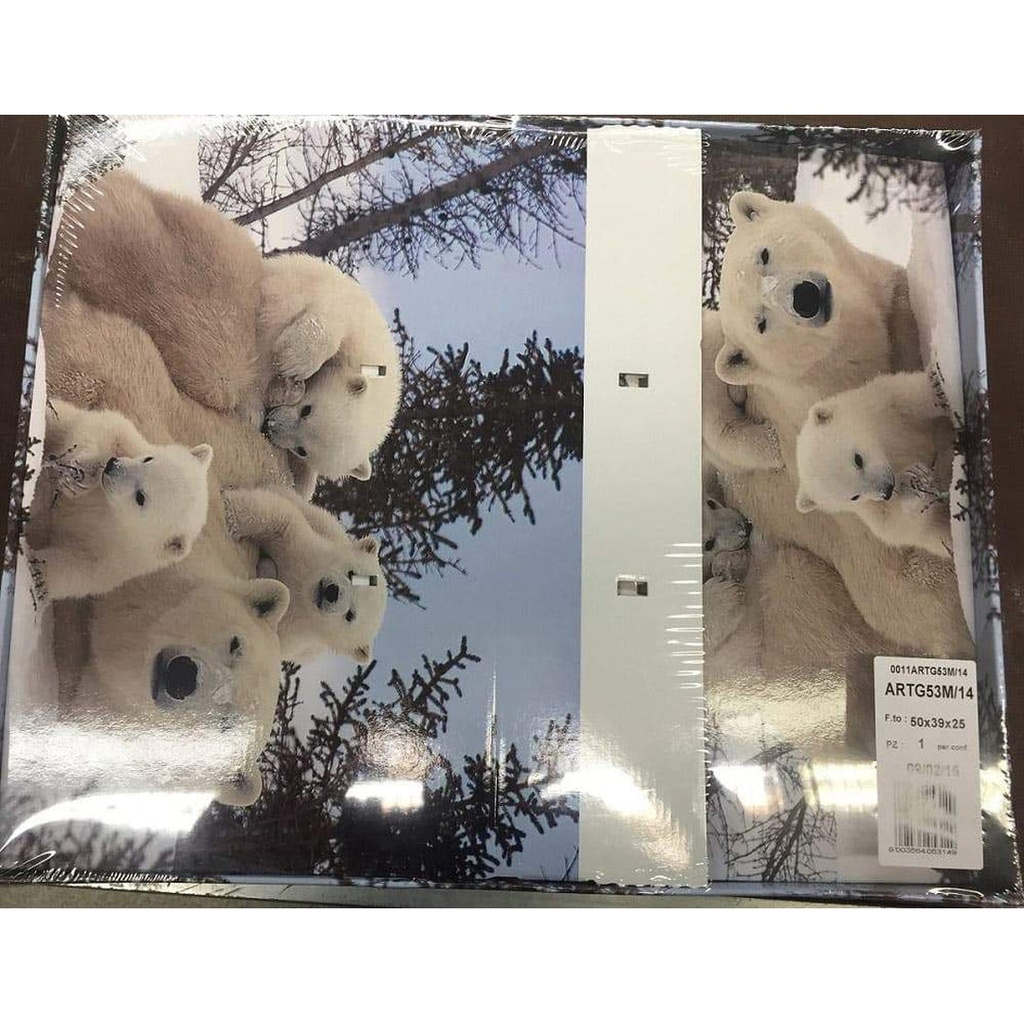 BOX GUARDAROBA G53M/14     50X39X25