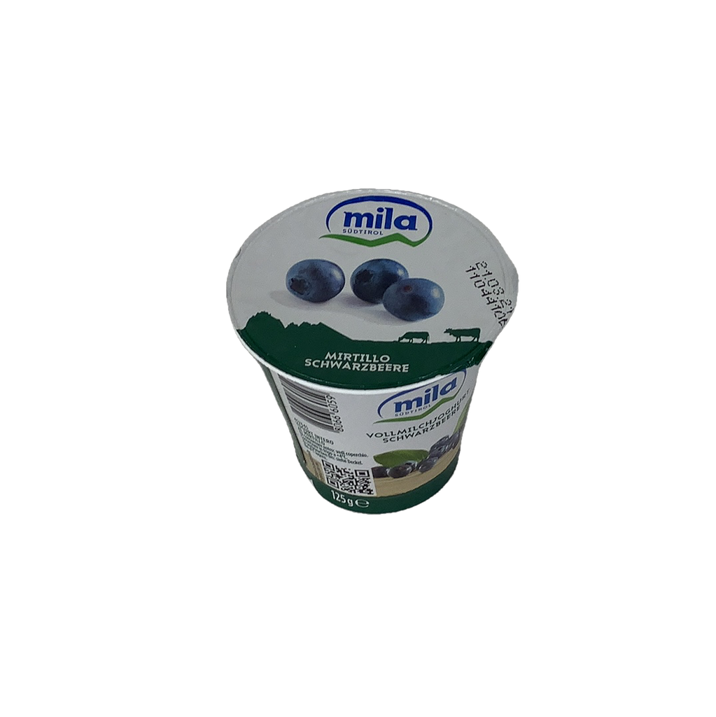 MILA YOGURT MIRTILLO N.GR125