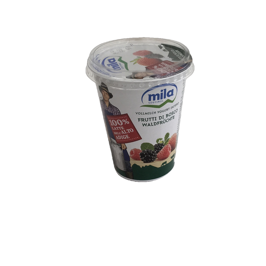 MILA YOGURT FRUTTI DI BOSCO  GR.400