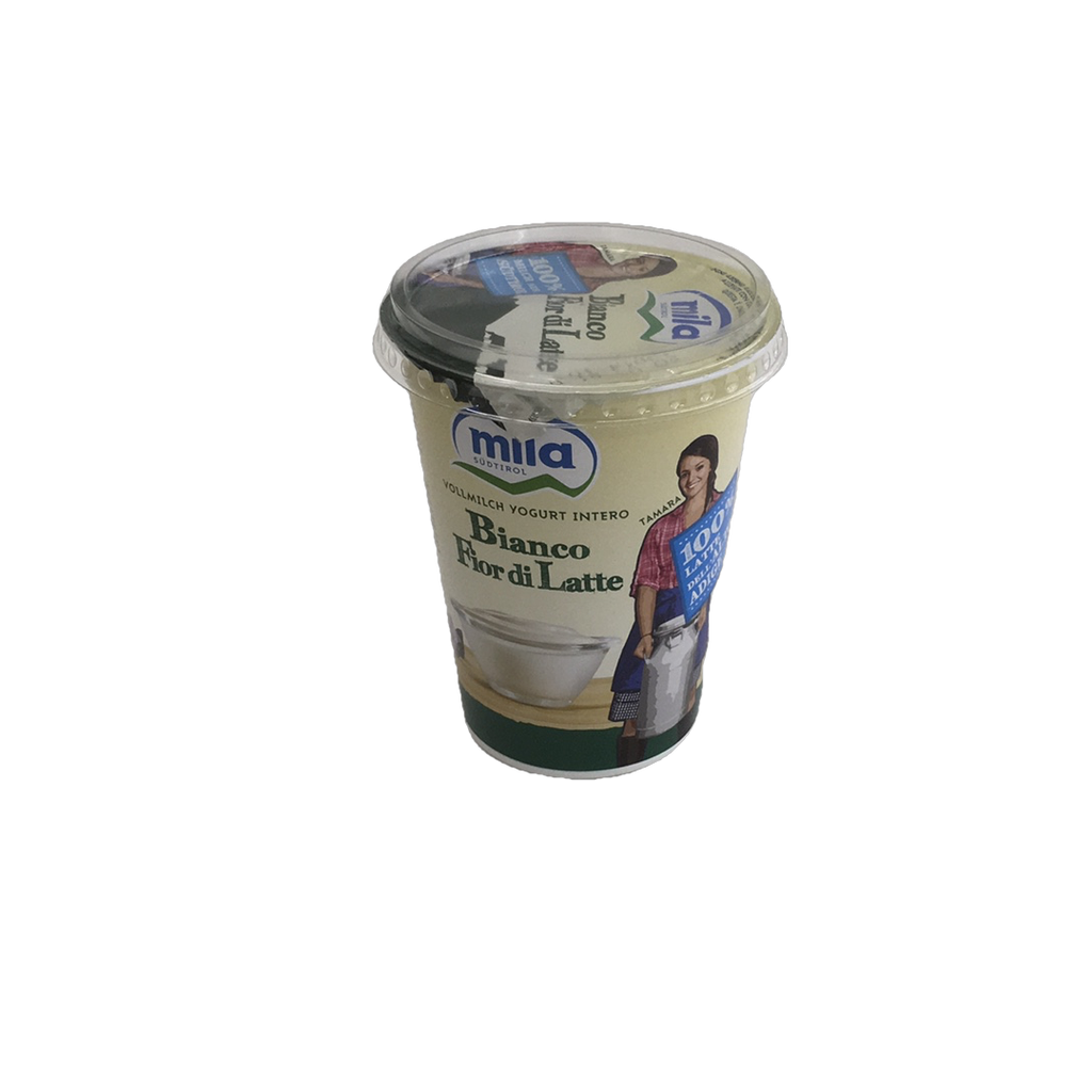 MILA YOGURT FIOR DI LATTE    GR.400