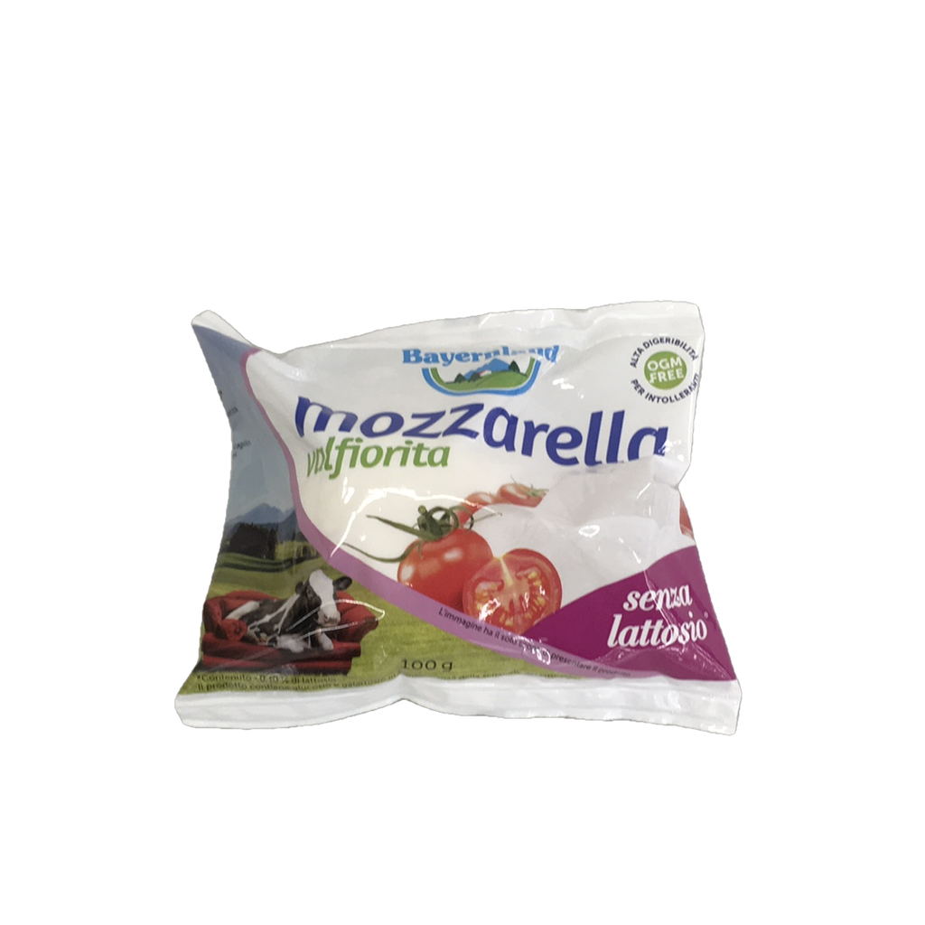 MOZZARELLA BOCCONCINO S/LATT. GR.100